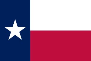 Review of the mandated Texas Basic Instructor Course
