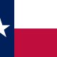 Review of the mandated Texas Basic Instructor Course
