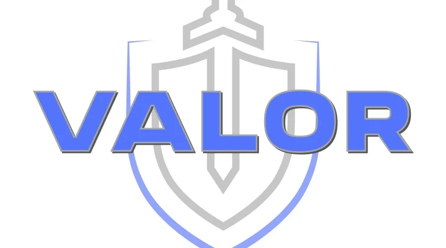 Valor Threat Protection: Lone Protector – Active Shooter Response